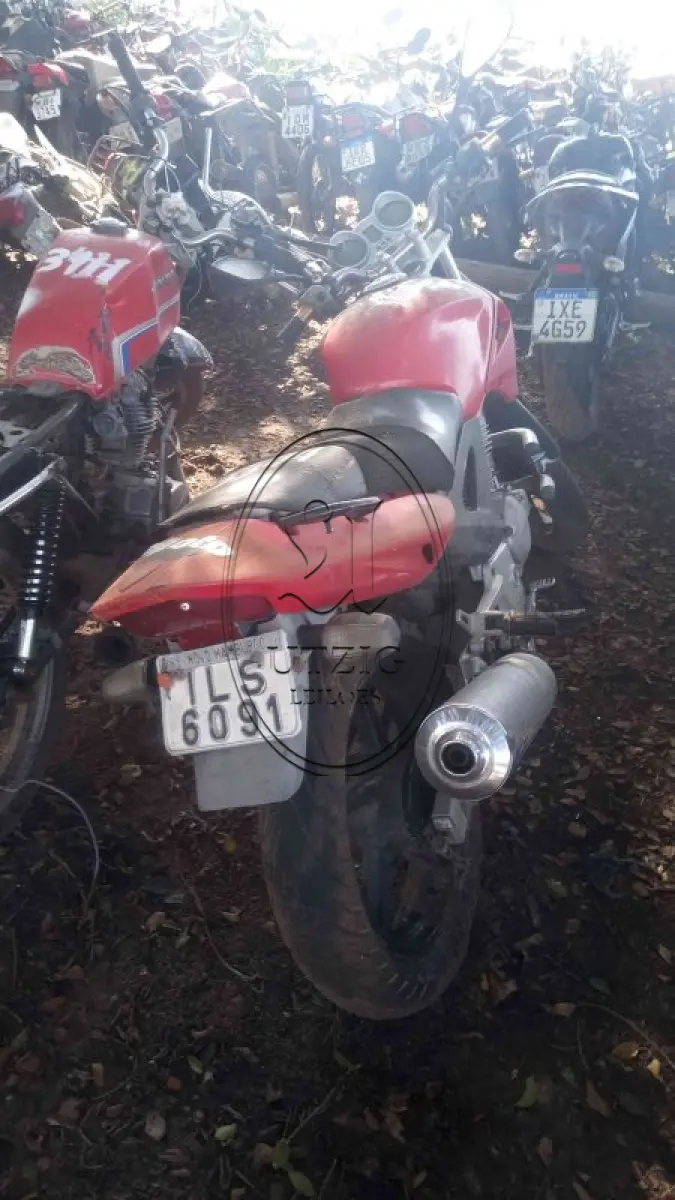 LOTE 0051