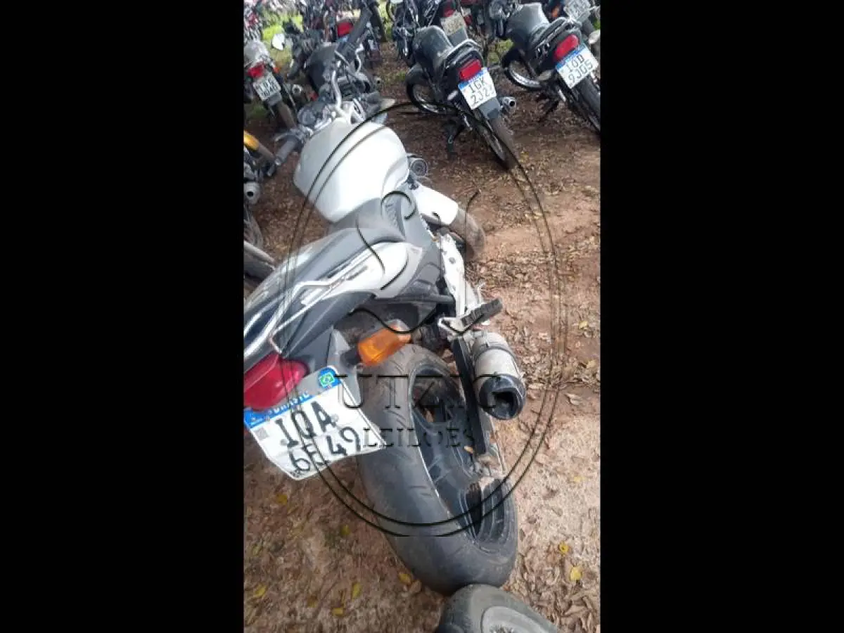 LOTE 0052