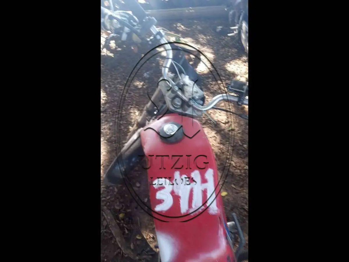 LOTE 0055